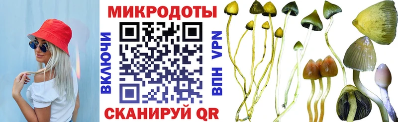 Псилоцибиновые грибы Magic Shrooms  Купить где  Ува 